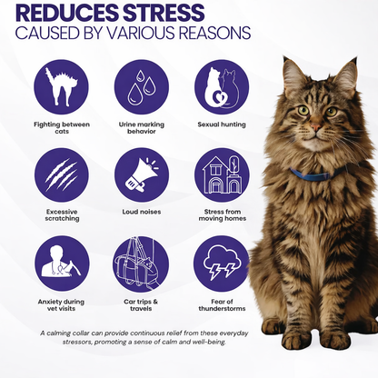 Cat Calming Collar