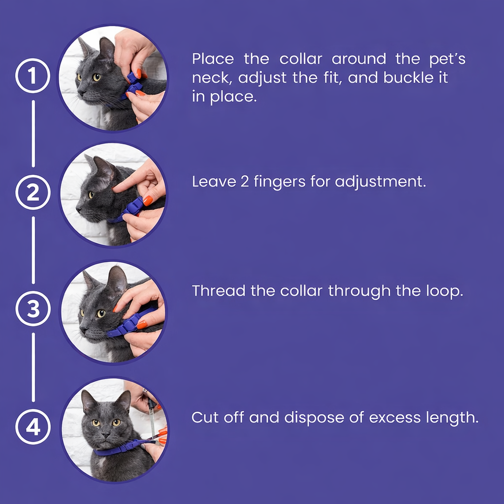 Cat Calming Collar