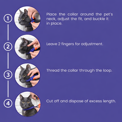 Cat Calming Collar