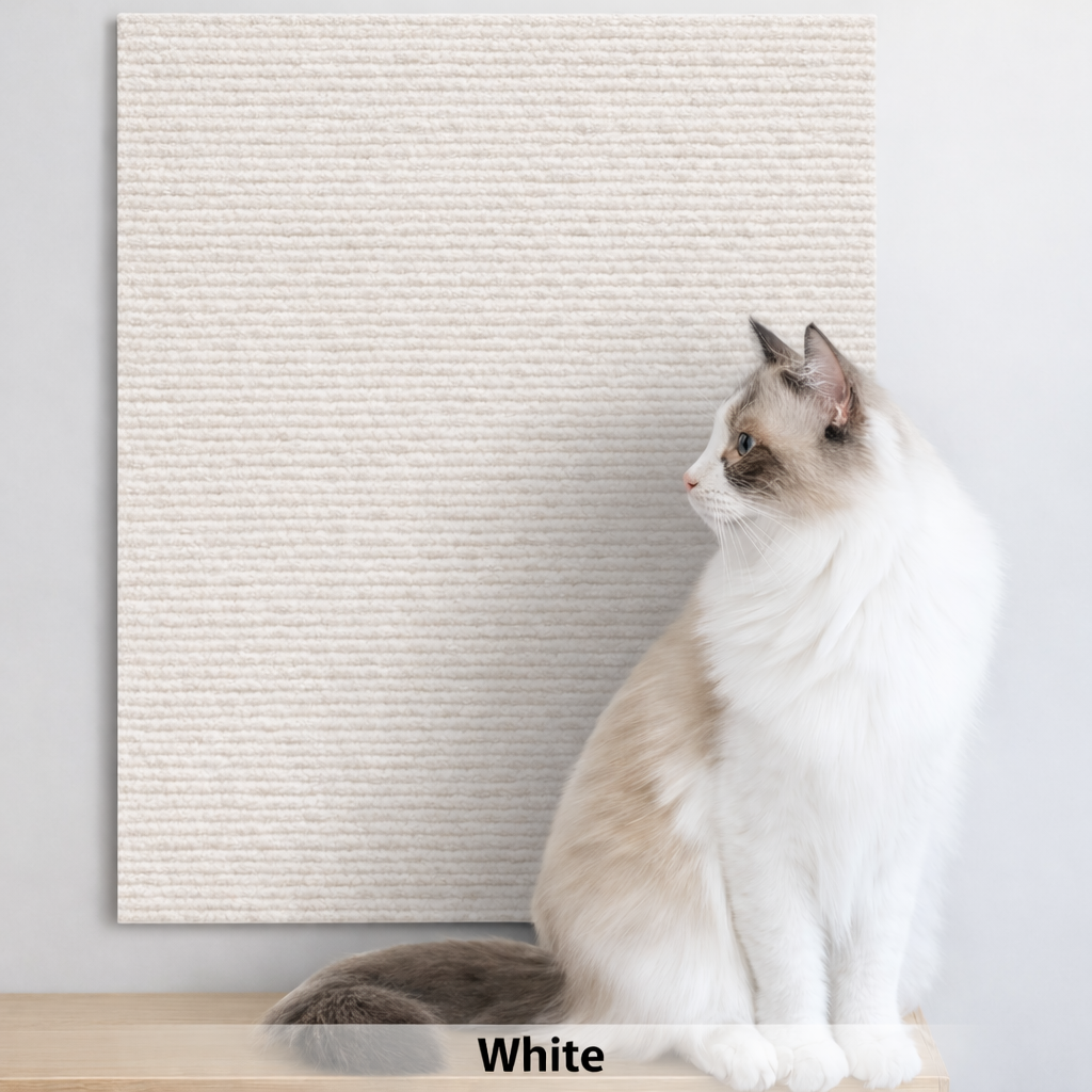 Cat Sofa Scratch Protector