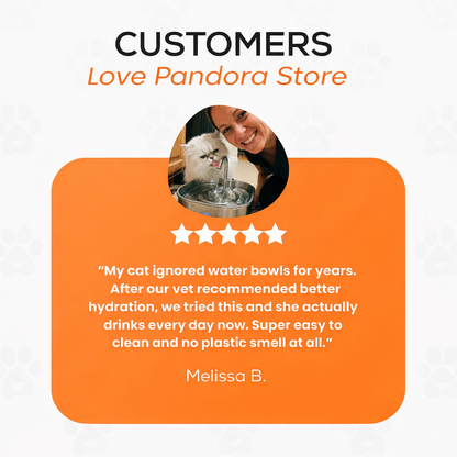 Pandora™ Stainless Steel Cat Fountain